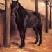 Yerres, Dark Bay Horse in the Stable